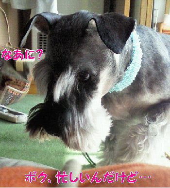 よかったね!.jpg
