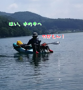 カヤックドック11.jpg