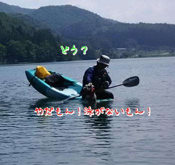 カヤックドック12.jpg