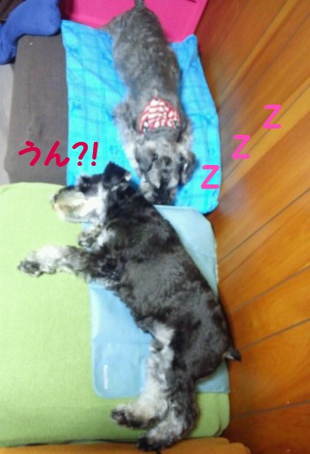 クリップボード.jpg