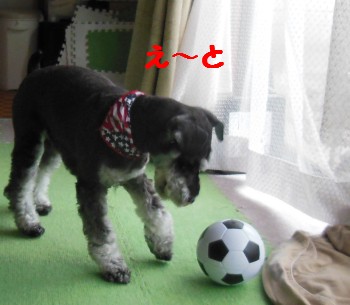 サッカー1.jpg