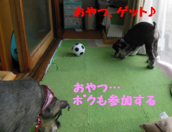 サッカー2.jpg