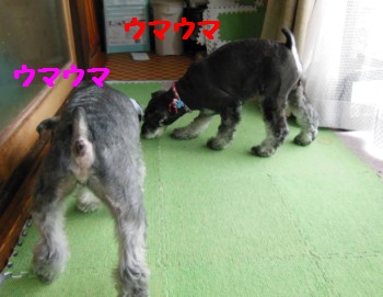 サッカー3.jpg