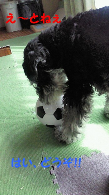 サッカーボール.jpg
