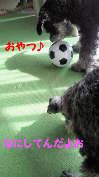 サッカーボール1.jpg