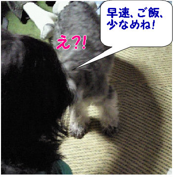 ショックな話.jpg