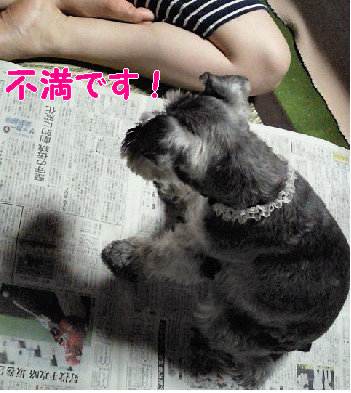 ボクの話をきいて.jpg