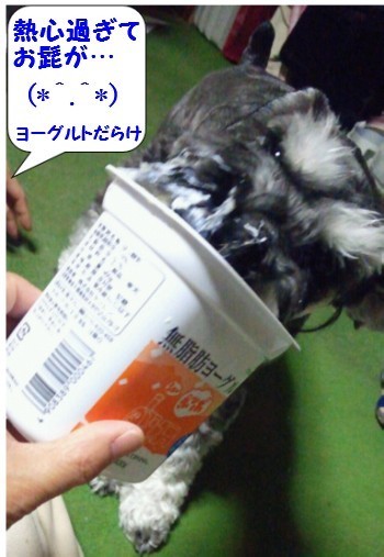 ヨーグルト4.jpg