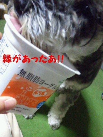 ヨーグルト6.jpg