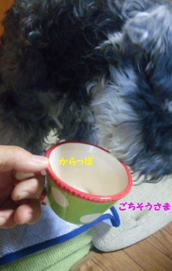 ヨーグルト9.jpg