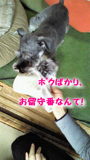 不満ですう.jpg