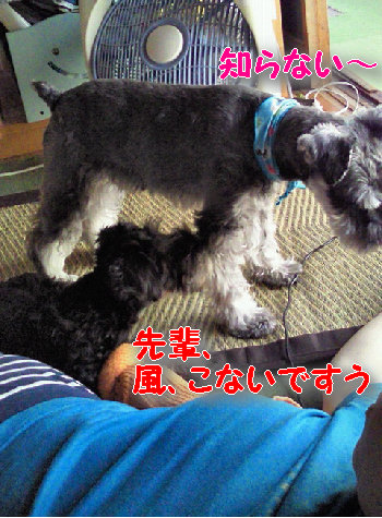 人気.jpg