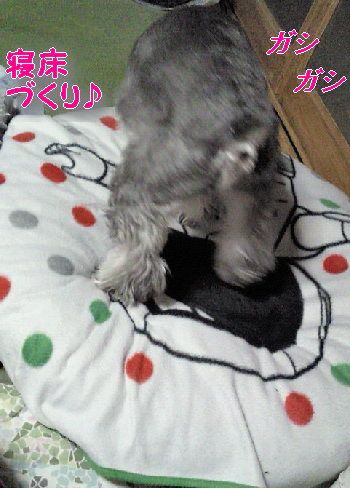 何してる?.jpg