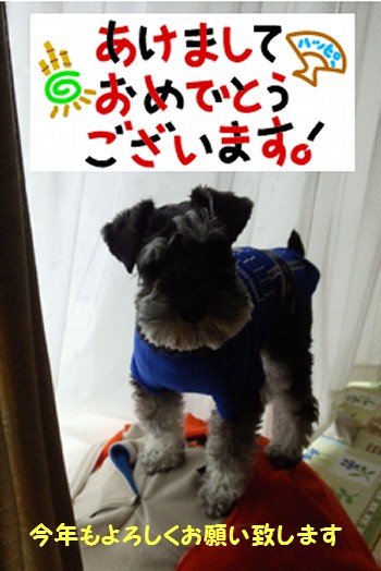 元旦.jpg