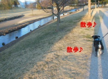 冬3.jpg