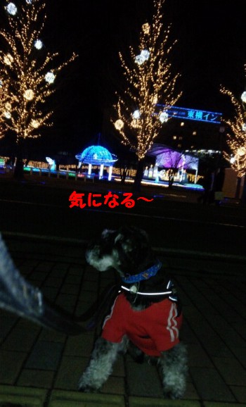 夜景6.jpg