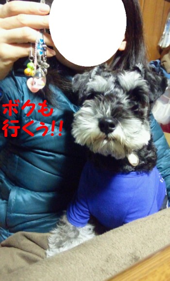 大晦日0.jpg