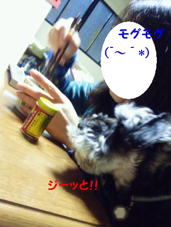 大晦日4.jpg