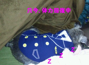 大晦日6.jpg