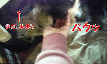 実は….jpg