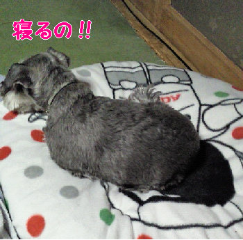 寝るから.jpg