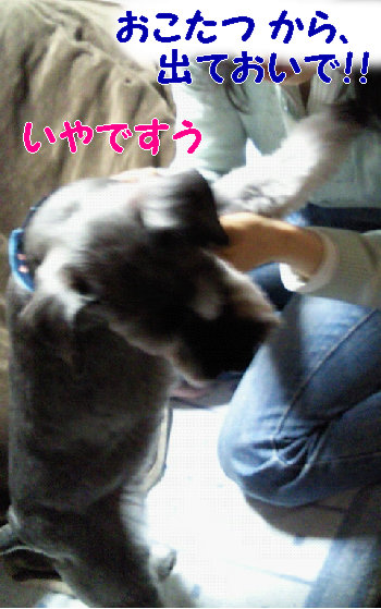 抵抗.jpg