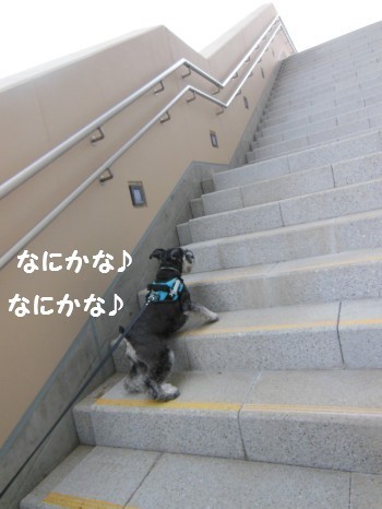春2.jpg