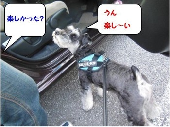 春7.jpg
