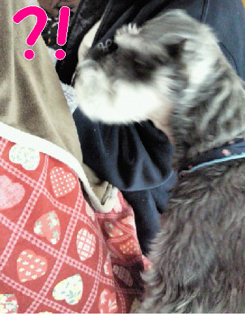 気がついた.jpg