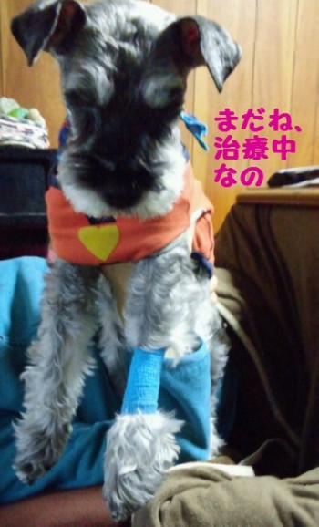 治療生活1.jpg