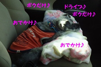 治療生活2.jpg