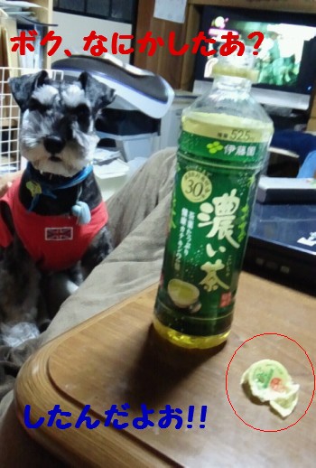 治療生活4.jpg