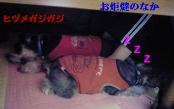 治療生活5.jpg