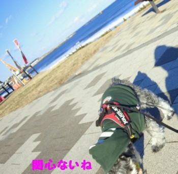 海4.jpg