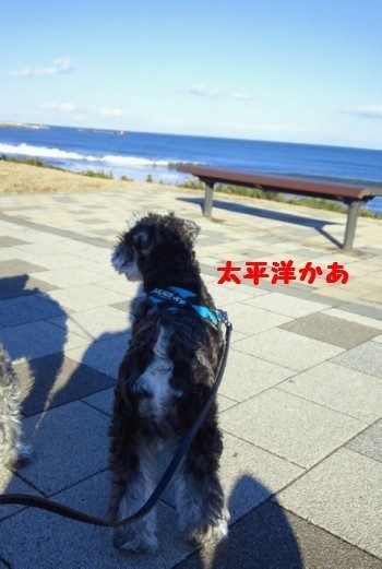 海5.jpg