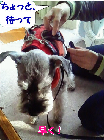 準備、準備.jpg