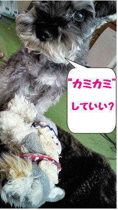 準備できた?.
