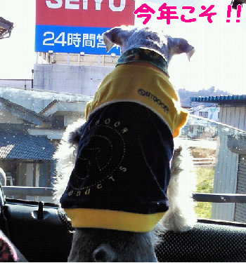 燃える男の背中.jpg