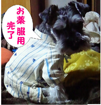 病院?.jpg