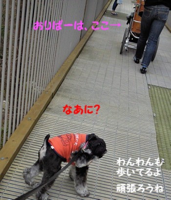 空中回廊.jpg