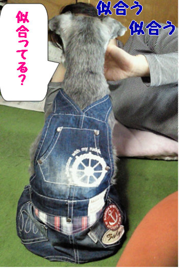 粋な後姿.jpg