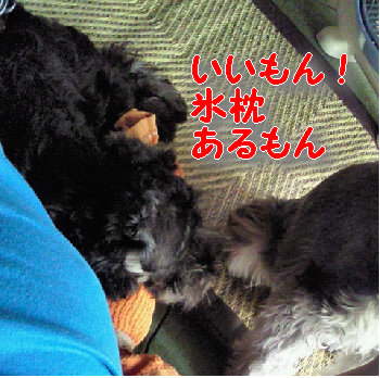 結局.jpg