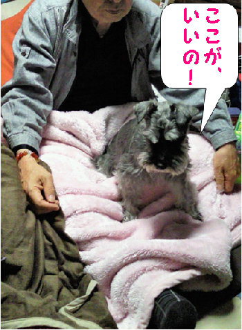 落ち着くの〜.jpg