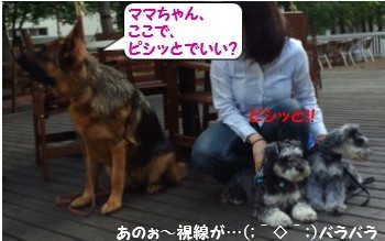 軽井沢2.jpg