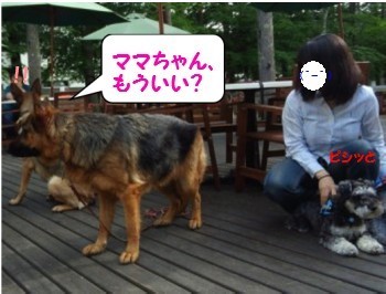 軽井沢3.jpg