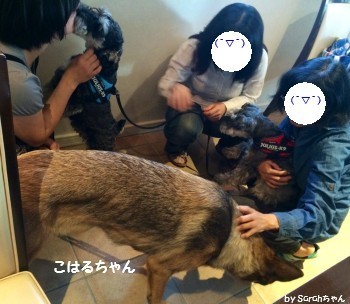 軽井沢6.jpg