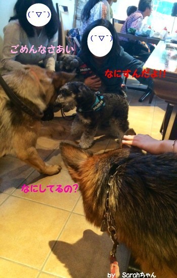 軽井沢8.jpg