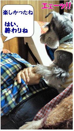 遊びの時間終わり.jpg