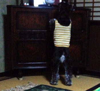 長い日4.jpg