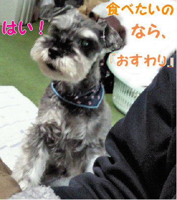 食べたいなら.jpg